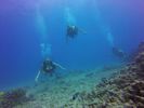 Hawaii Scuba divng 17