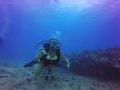 Hawaii Scuba divng 19