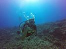 Hawaii Scuba divng 01