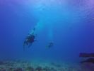 Hawaii Scuba divng 21