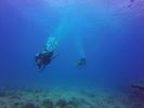 Hawaii Scuba divng 22
