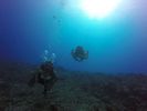 Hawaii Scuba divng 27