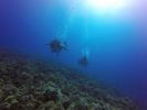 Hawaii Scuba divng 29