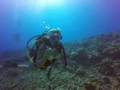 Hawaii Scuba divng 02