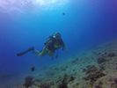 Hawaii Scuba divng 32