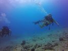 Hawaii Scuba divng 34