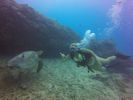 Hawaii Scuba divng 36