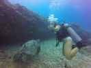 Hawaii Scuba divng 37