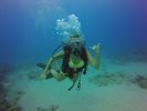 Hawaii Scuba divng 42