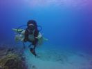 Hawaii Scuba divng 44