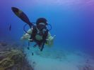 Hawaii Scuba divng 45