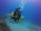 Hawaii Scuba divng 46