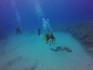 Hawaii Scuba divng 47