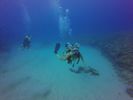 Hawaii Scuba divng 48