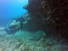 Hawaii Scuba divng 52