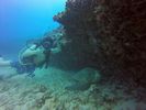 Hawaii Scuba divng 53