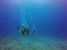 Hawaii Scuba divng 56