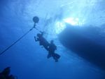 Hawaii Scuba divng 10