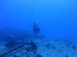 Hawaii Scuba divng 11