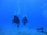 Hawaii Scuba divng 14