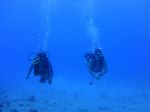 Hawaii Scuba divng 15