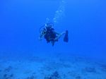 Hawaii Scuba divng 18