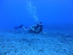 Hawaii Scuba divng 19