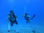 Hawaii Scuba divng 21