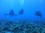 Hawaii Scuba divng 25