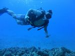 Hawaii Scuba divng 27