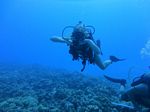 Hawaii Scuba divng 28