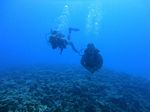 Hawaii Scuba divng 29