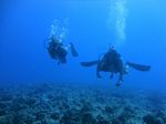 Hawaii Scuba divng 32