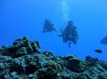 Hawaii Scuba divng 33