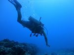 Hawaii Scuba divng 34