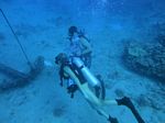 Hawaii Scuba divng 35