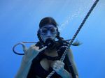 Hawaii Scuba divng 39