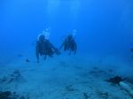 Hawaii Scuba divng 44