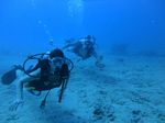 Hawaii Scuba divng 45