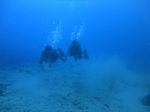 Hawaii Scuba divng 47