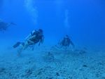 Hawaii Scuba divng 48