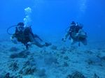 Hawaii Scuba divng 49