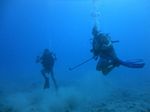 Hawaii Scuba divng 51