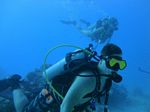 Hawaii Scuba divng 54