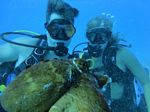 Hawaii Scuba divng 57