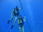 Hawaii Scuba divng 67