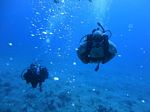 Hawaii Scuba divng 100