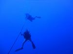 Hawaii Scuba divng 11