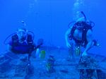 Hawaii Scuba divng 14