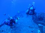 Hawaii Scuba divng 15